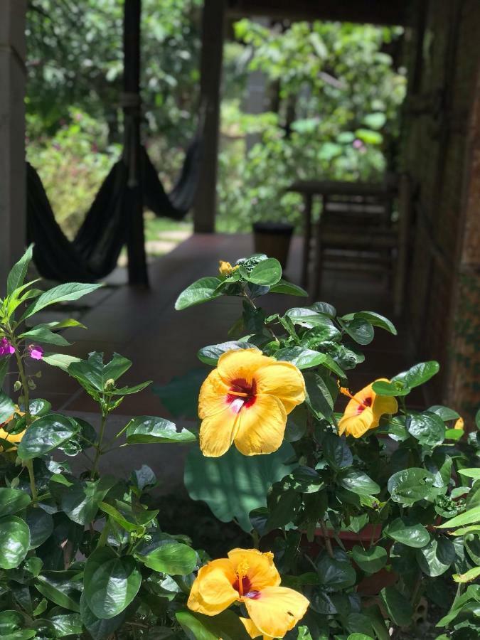 Phuc Sinh Homestay Ben Tre Exterior foto